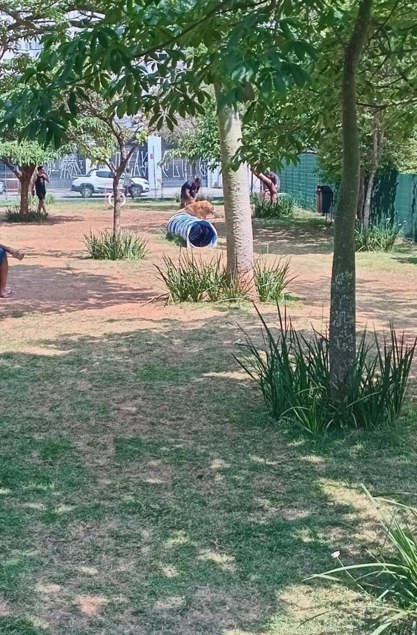 Ao Lado Do Metro Bras
